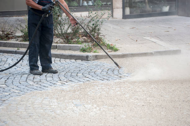 Animal Enclosure Cleaning in Maili, HI